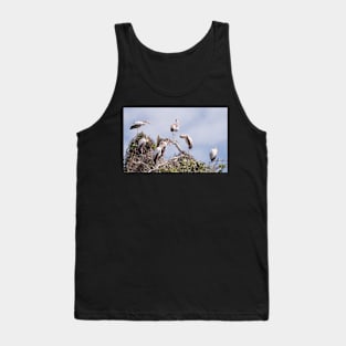 Yellow Billed Stork colony Tank Top